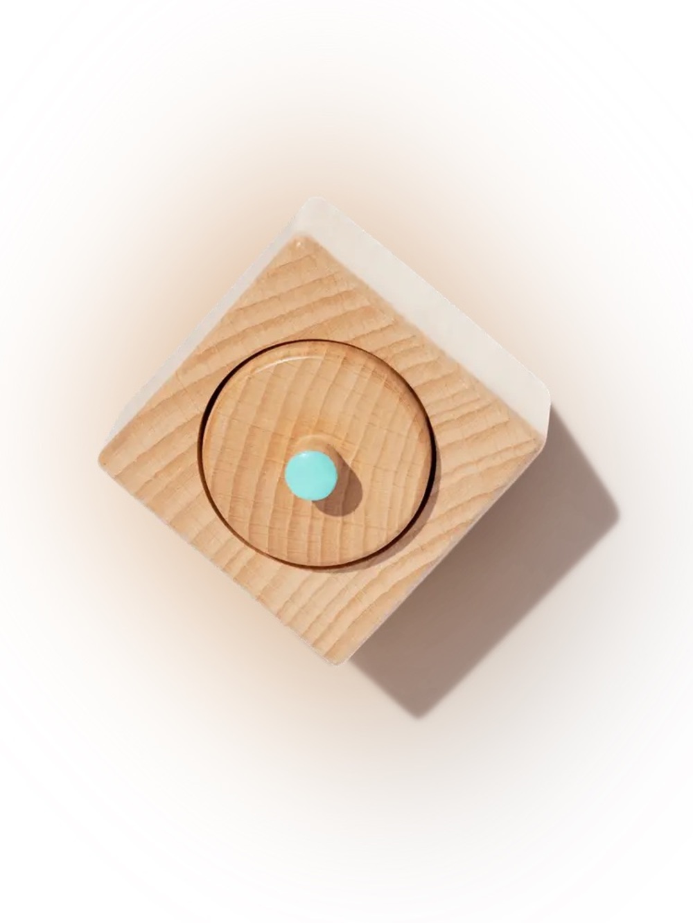 Pincer Puzzle from Lovevery "The Thinker" Playkit (11-12m)